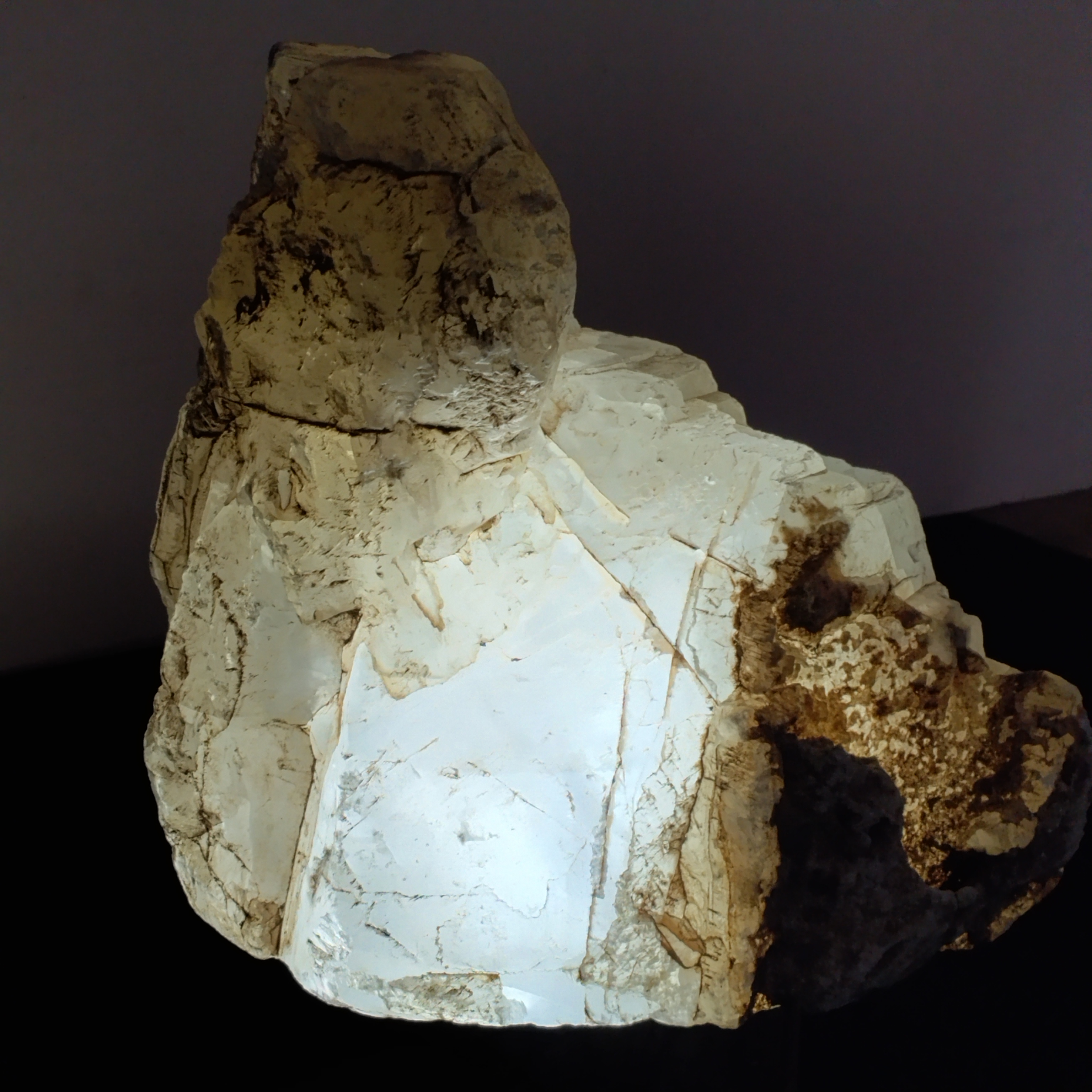 Crystal Ice Bird
A Frosted Sentinel of Clarity and Silent Strength

Emerging from the heart of the Earth like a winged whisper, the Crystal Ice Bird is a breathtaking quartz formation that resembles a celestial bird mid-flight. With its translucent white body and rugged, weathered crown, this piece captures the essence of serenity, resilience, and divine clarity.

🕊️ Symbolism &amp; Spiritual Resonance

The bird form symbolizes freedom, ascension, and spiritual guidance

The luminous quartz body reflects inner purity and awakened consciousness

Earth-toned mineral inclusions represent grounding and wisdom through experience

🔮 Metaphysical Benefits

Enhances mental clarity, helping one rise above confusion and emotional fog

Supports spiritual elevation, connecting the soul to higher realms

Balances lightness and grounding, ideal for meditation and energy work

🌬️ Suggested Placement Perch the Crystal Ice Bird on your altar, workspace, or display shelf to invite peace, perspective, and silent strength. Its presence transforms any space into a sanctuary of light and reflection.

🧘‍♂️ Recommended Ritual During moments of introspection, gaze upon the crystal and visualize your thoughts taking flight—clear, weightless, and free. Let its energy guide your inner journey.