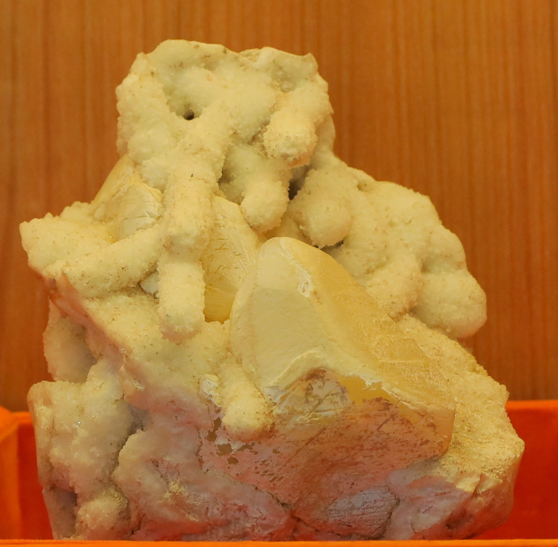 7 Trunk Ganesha – Natural Stone Formation

This rare and fascinating mineral specimen resembles Lord Ganesha in a naturally formed design. The most striking feature is its seven trunk-like extensions, which appear prominently across the surface of the stone. These trunks emerge in various curved and elongated patterns, giving it a distinctly divine and mystical appearance.

Shape &amp; Structure:

The stone is an irregular mass, with a natural base that provides a stable foundation for display.

Multiple cylindrical, elongated projections extend outward in different directions, closely resembling trunks of Lord Ganesha.

The central portion of the stone forms a more solid and defined structure, resembling the body of Ganesha, while the protruding trunks enhance its symbolic uniqueness.