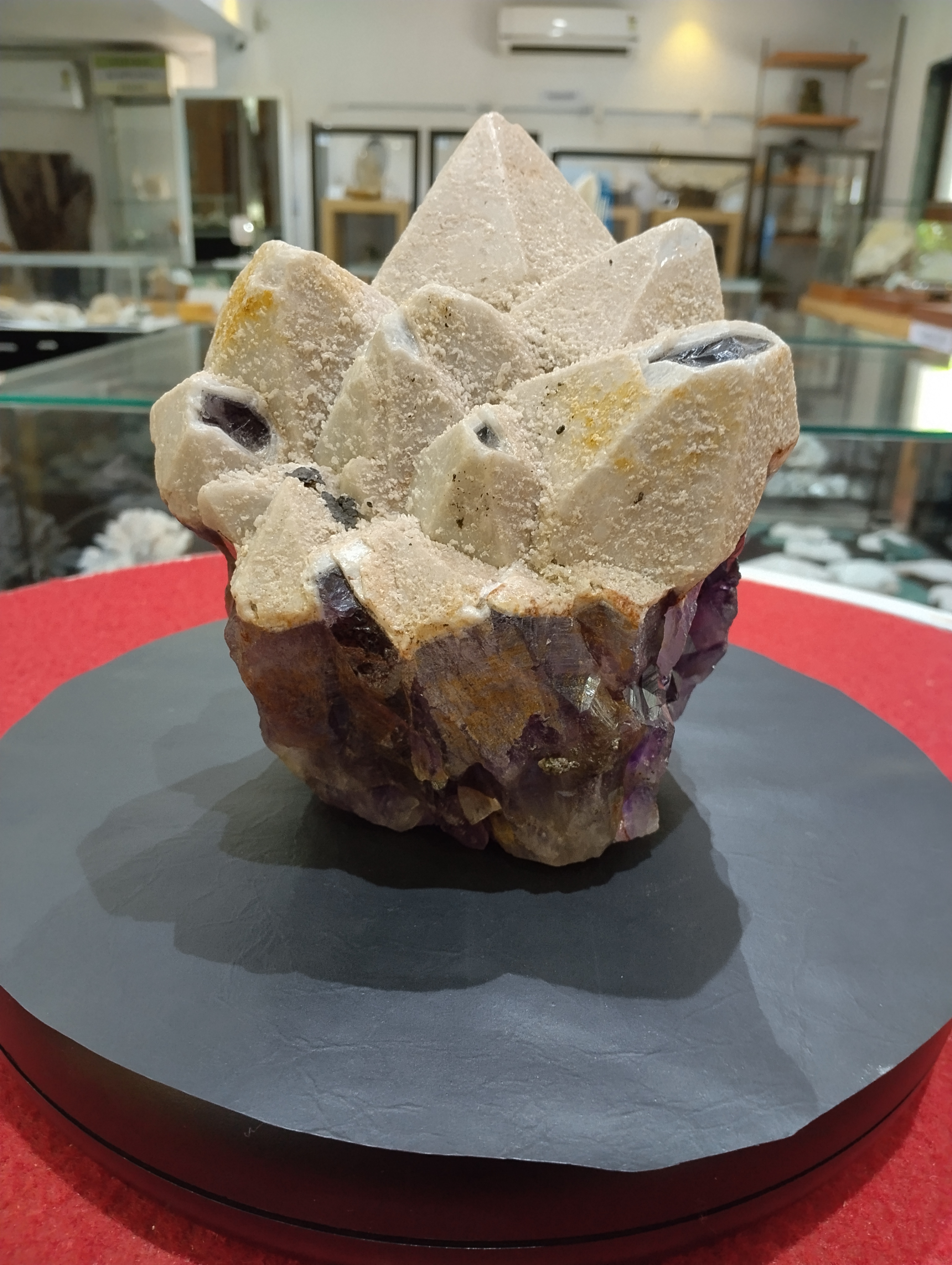 Natural Amethyst with Calcite Crystal Cluster

✨ A mesmerizing masterpiece of nature, this crystal cluster combines the grounding beauty of Calcite with the spiritual elegance of Amethyst, making it a rare and powerful specimen for collectors and crystal enthusiasts.
Appearance &amp; Shape
The cluster features multiple pyramid-like Calcite points rising upward in perfect symmetry, symbolizing strength, clarity, and stability.
At the base, the stone reveals a rich layer of deep purple Amethyst crystals, creating a stunning contrast with the creamy beige Calcite above.
Natural inclusions and mineral coatings give the stone a textured look, enhancing its raw, untouched charm.
The overall formation resembles a lotus-like bloom, radiating beauty and positivity from every angle.