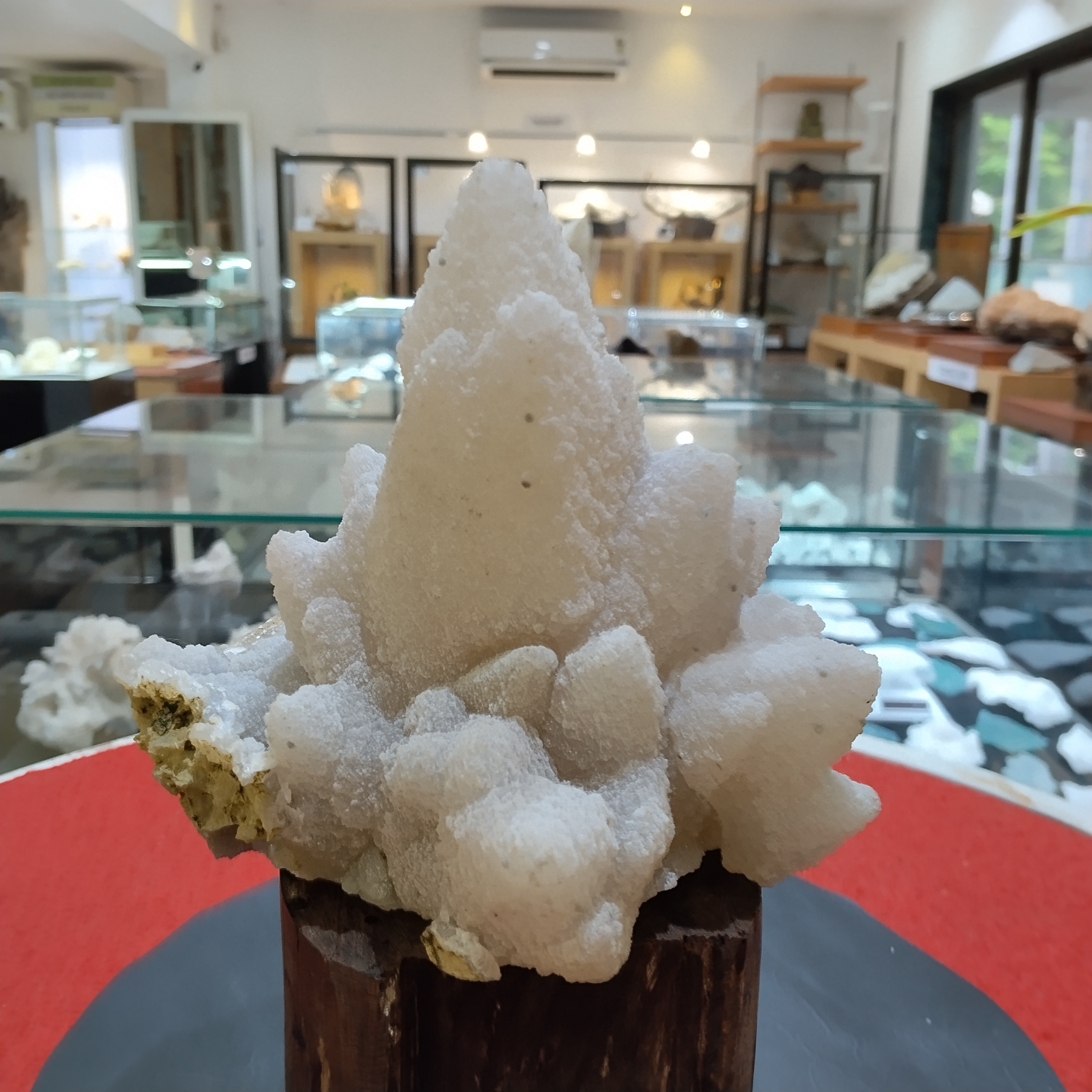 🌸 Crystallian Lakshmi Lotus
A Divine Bloom of Prosperity in Quartz

Gracefully rising from its pedestal like a celestial blossom, the Crystallian Lakshmi Lotus is a radiant crystalline formation inspired by the sacred lotus of Goddess Lakshmi. Sculpted by nature and curated with reverence, this white quartz cluster embodies purity, abundance, and spiritual awakening.

🔮 Symbolism &amp; Spiritual Resonance

The lotus, sacred to Lakshmi, symbolizes spiritual growth, wealth, and divine beauty

The central peak represents the rising soul, surrounded by petal-like formations that echo grace and serenity

Crafted from luminescent quartz, known to amplify intentions and cleanse energies

💫 Metaphysical Benefits

Invites prosperity, peace, and clarity into your space

Enhances meditative focus and spiritual alignment

Ideal for altars, sacred corners, or spaces of manifestation and gratitude

🪔 Suggested Placement Place it on a home altar, office desk, or meditation shelf to channel divine blessings and elevate the energy of your surroundings. Surrounded by marigolds and sacred leaves, it becomes a living shrine of abundance.

📿 Recommended Ritual Light a diya beside the Crystallian Lakshmi Lotus during evening prayers. Offer a silent wish for prosperity, and let the crystal’s energy magnify your intentions.