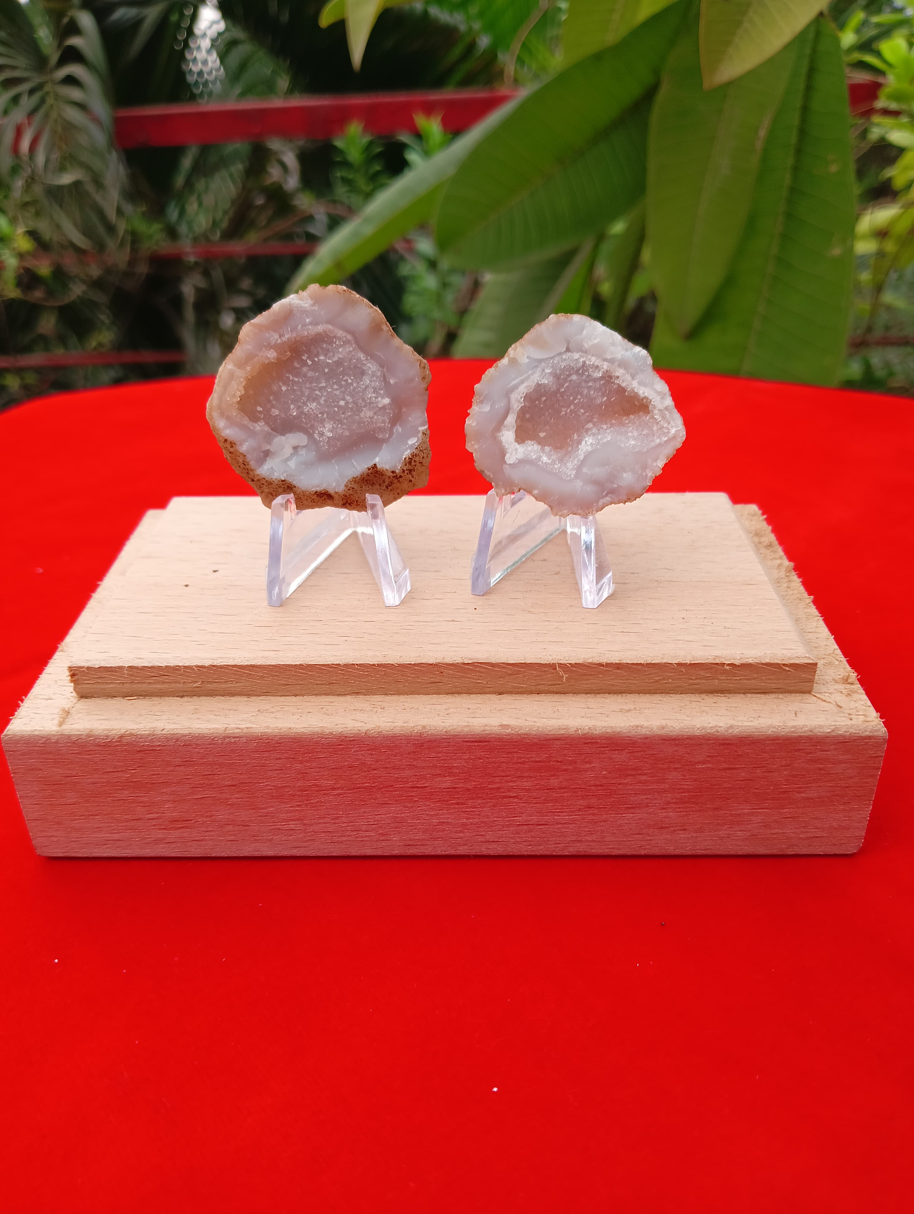 Divine Couple Pebble
Stone of Sacred Connection &amp; Harmonious Love

Nestled within nature’s embrace, the Divine Couple Pebble is a twin geode formation symbolizing the eternal bond between two souls. With its crystalline heart and rugged exterior, this sacred stone mirrors the journey of love—raw, radiant, and beautifully evolving.

🕊️ Metaphysical Essence

Enhances emotional communication, allowing partners to speak from the soul

Fosters trust, empathy, and mutual understanding

Strengthens spiritual bonding, aligning energies in harmony

Ideal for couples seeking deeper connection or healing in their relationship

🌿 Symbolism &amp; Placement Place this divine duo in your shared space—bedroom, altar, or meditation corner—to invite serenity and open-hearted dialogue. Its mirrored halves remind us that love is not about perfection, but about reflection, growth,