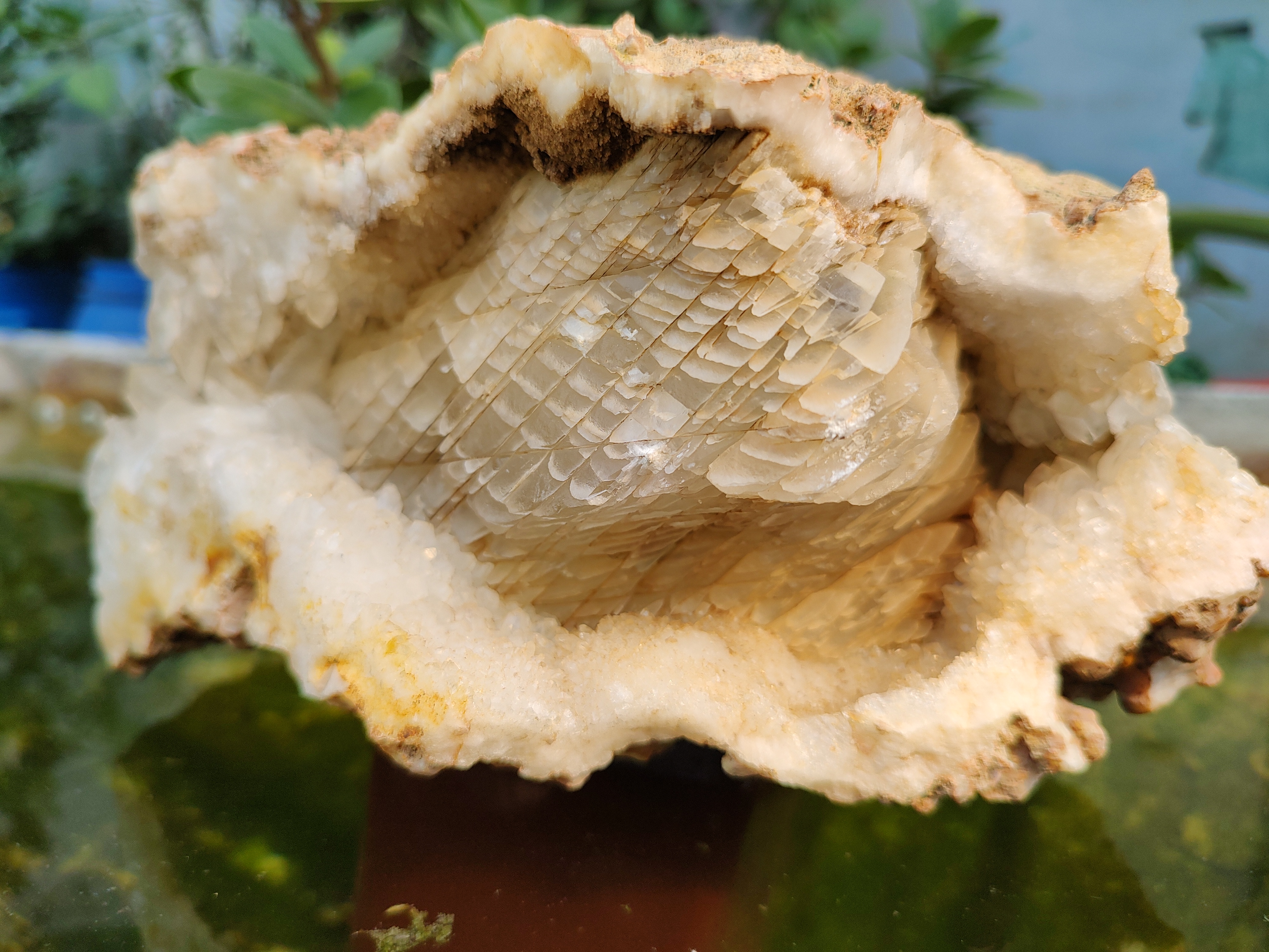 Crystallian Serpent Maw A Stone of Primordial Wisdom and Protective Power

The Crystallian Serpent Maw is a breathtaking mineral formation that evokes the ancient symbolism of a serpent’s open jaw—guarding secrets, channeling transformation, and radiating silent strength. Formed by nature and curated with reverence, this specimen features a rugged white quartz exterior with earthy brown inclusions, opening into a mesmerizing interior of translucent calcite scales. These scale-like formations shimmer with a pearlescent glow, resembling the sacred geometry found in reptilian lore and mythic guardians.

This piece is more than a geological marvel—it is a spiritual talisman. The serpent has long been revered across cultures as a symbol of rebirth, intuition, and hidden knowledge. Within this crystalline maw lies the invitation to shed old energies and embrace clarity, protection, and spiritual evolution.

Metaphysical Benefits:

Encourages deep introspection and intuitive awakening

Offers energetic protection in healing and ritual spaces

Balances grounding with elevated consciousness

Ideal for meditation, transformation, and spiritual guardianship

Suggested Placement: Place the Crystallian Serpent Maw at the entrance of your sacred space, meditation room, or healing altar. Its presence acts as a guardian—anchoring the energy of the room while inviting clarity and transformation.

Recommended Ritual: During spiritual work or personal transitions, sit before the stone and visualize shedding old patterns like scales. Let its energy guide you into renewal and deeper knowing.